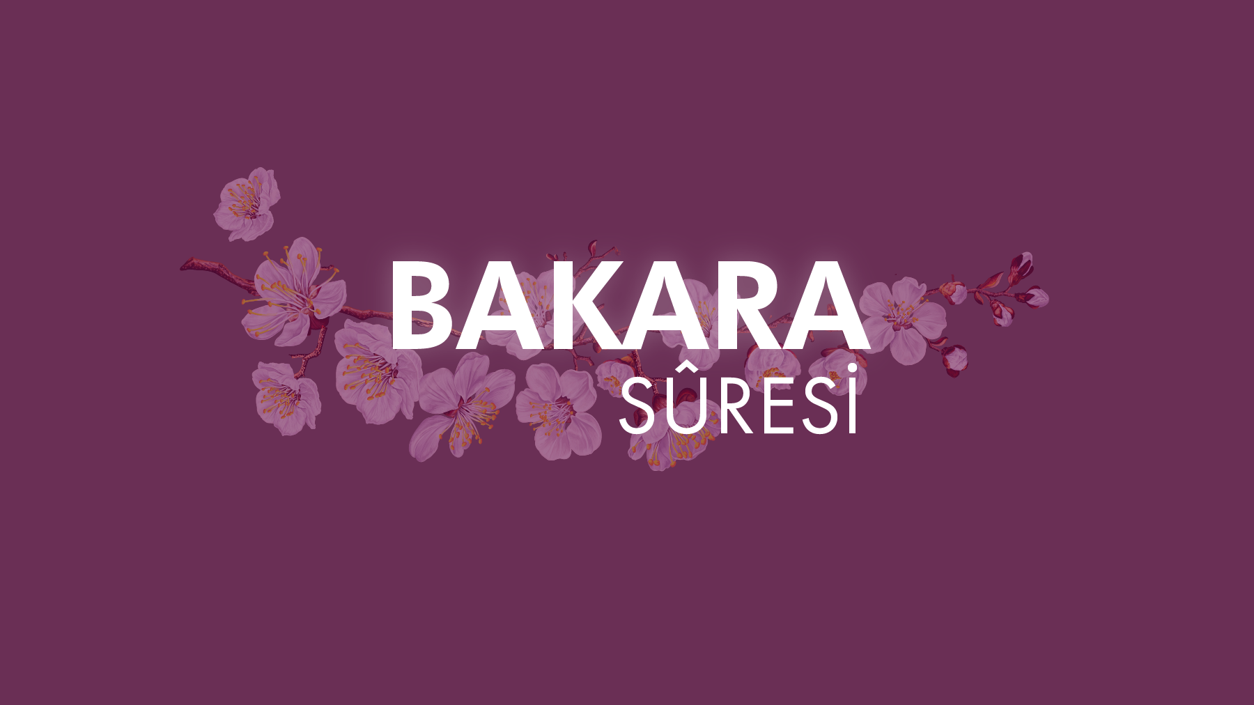 Kur'an-ı Kerim'in en uzun sûresi, Bakara 