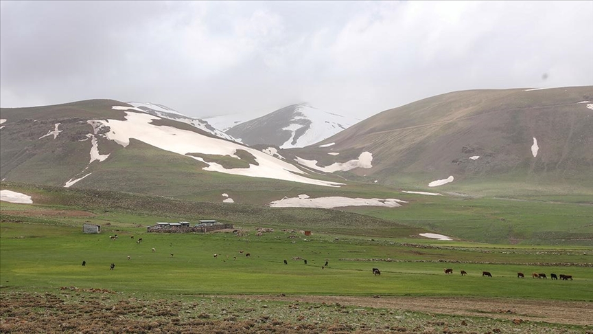 Iğdır ve Tunceli'de iki mevsim bir arada 