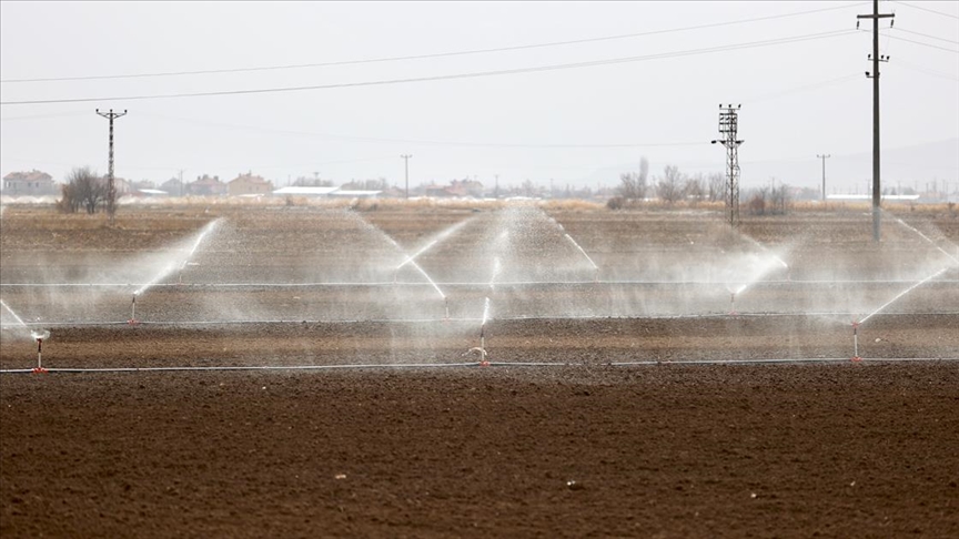 Tarımsal kuraklıkla mücadelede alternatifler deneniyor