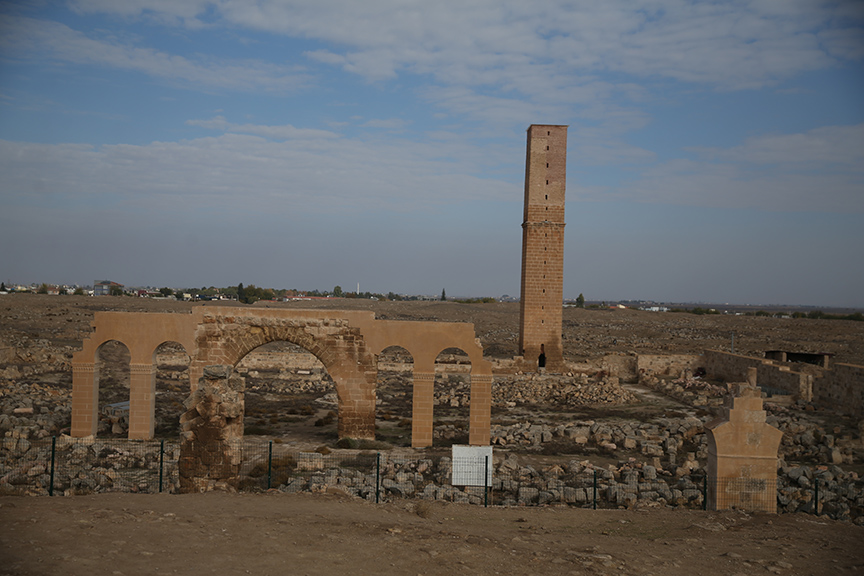 Harran da 8 asırlık medresede yeni keşifler 