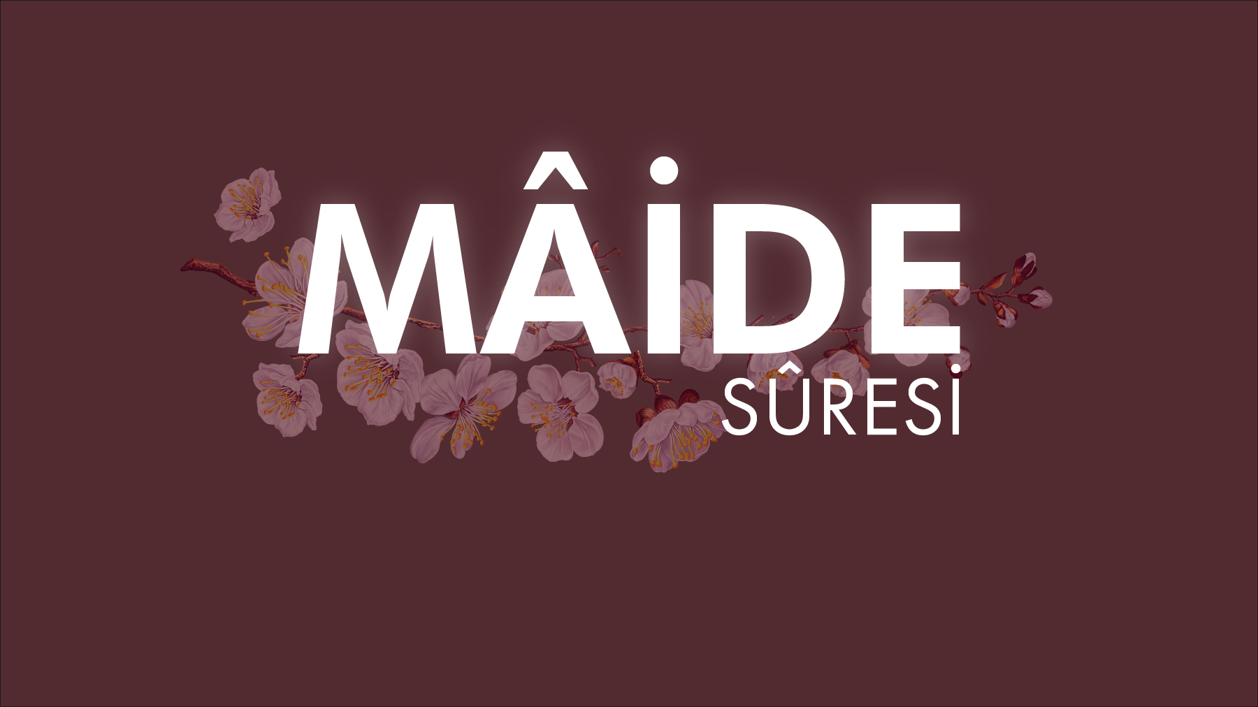 Mâide Sûresi'nde hangi konuları bulabiliriz?