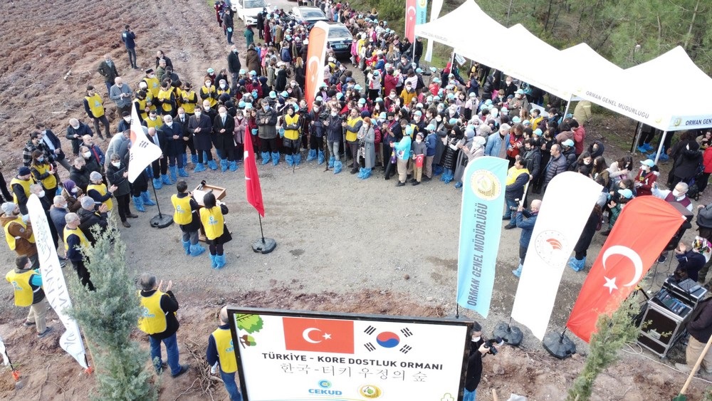 Türkiye - Kore dostluğu 580 bin fidanla kökleşti