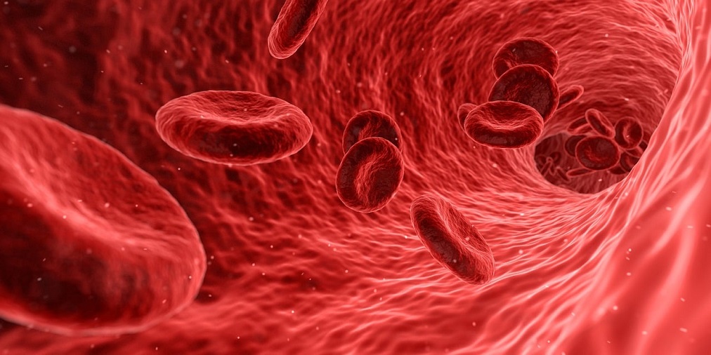 Hangi vitaminler kan yapımına destek olur?