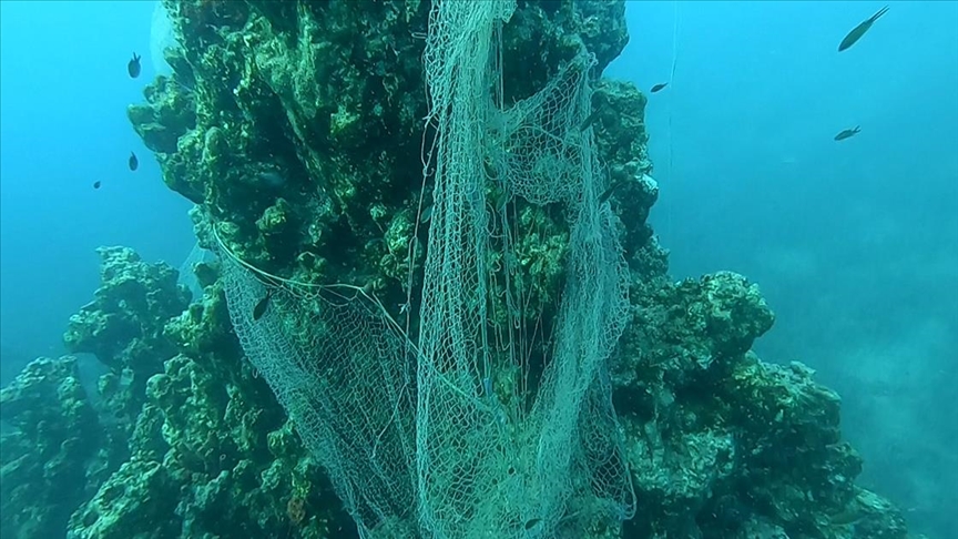 'Hayalet ağlar' deniz canlılarını etkiliyor 