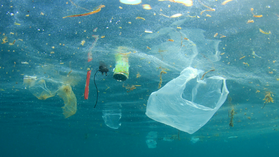 ÇEKUD Plastik Kirliliğine Karşı Ortak Mücadele Çağrısı Yaptı