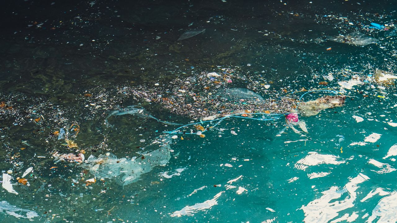 Akdeniz’de Plastik Kirliliği Endişe Oluşturuyor